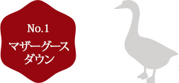 No.1ダックダウン